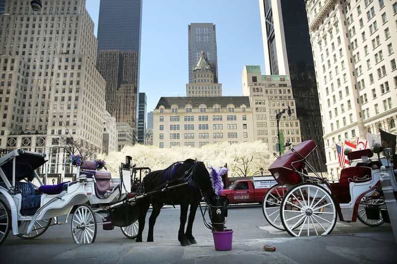 NYC: Central Park Christmas Lights Horse-Drawn Carriage Ride - An In-Depth Look at the Carriage Ride Experience