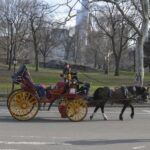 NYC: Central Park Horse-Drawn Carriage Ride - Is a Horse-Drawn Carriage Ride Worth It?