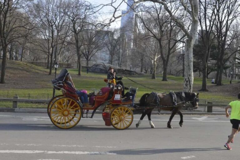 NYC: Central Park Horse-Drawn Carriage Ride - Is a Horse-Drawn Carriage Ride Worth It?