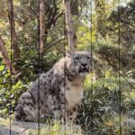 NYC: Central Park Zoo & Central Park Guided Walking Tour - Hidden Gems and Movie Locations