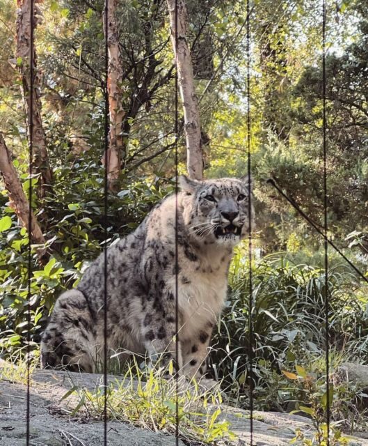 NYC: Central Park Zoo & Central Park Guided Walking Tour - Hidden Gems and Movie Locations