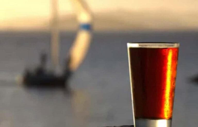 NYC: Clipper City Statue of Liberty City Lights Night Sail - The Itinerary and Setting