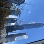 NYC | French guided tour Southern Manhattan - Practical Details and What to Expect