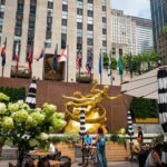 NYC: Half-Day Luxury Bus Tour with One World Access - The Value of This Tour