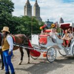 NYC MAGICAL NIGHT TIME RIDE Central Park/Rockefeller Center - Who Should Consider This Tour?