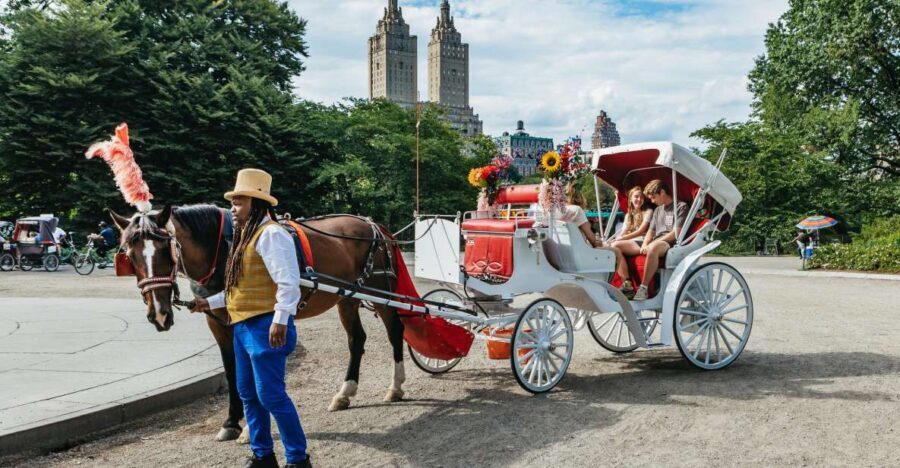 NYC MAGICAL NIGHT TIME RIDE Central Park/Rockefeller Center - Who Should Consider This Tour?