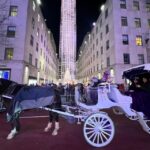 NYC: Private Central Park and NYC City Tour - Is This Tour Worth the Price?