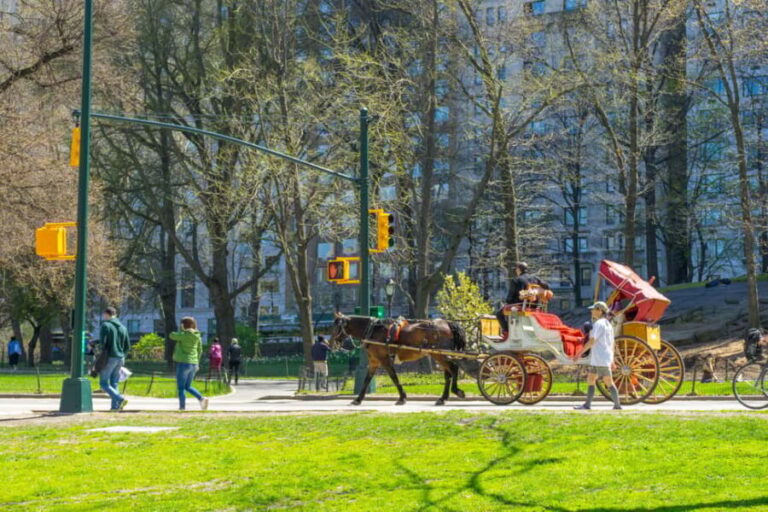 NYC Private Central Park Horse Carriage Ride with Guide - Practical Tips for Booking and Enjoying Your Ride