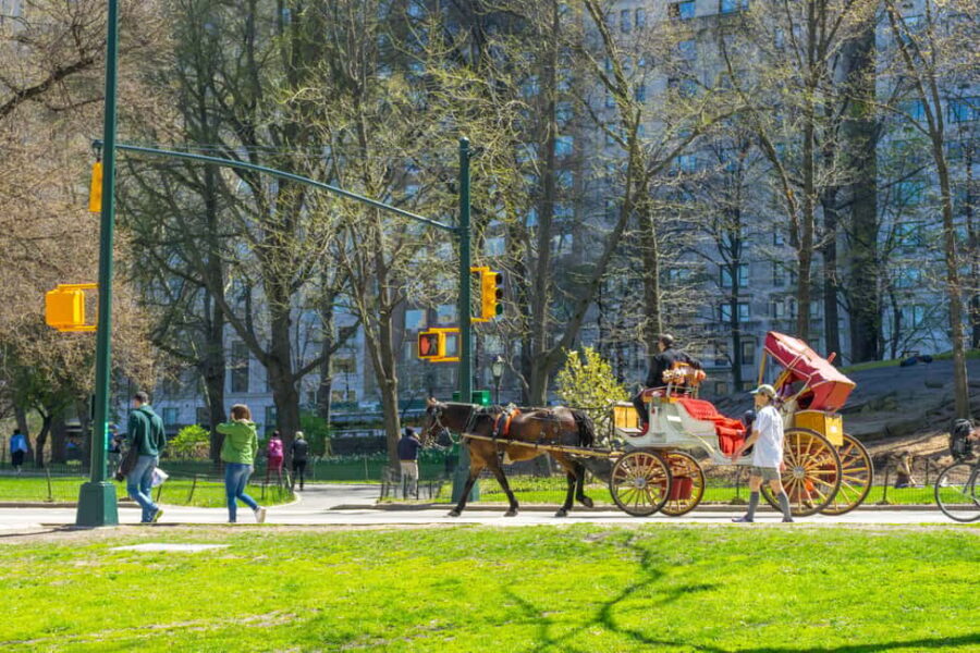 NYC Private Central Park Horse Carriage Ride with Guide - Practical Tips for Booking and Enjoying Your Ride