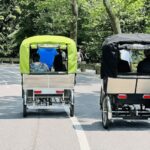 NYC: Private Central Park Pedicab Tours / PICKUP FROM MUSEUM - A Detailed Breakdown of the Tour Experience