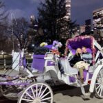 NYC: Private Christmas Lights Horse Carriage Ride - Who Is This Tour Best Suited For?