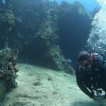 Oahu: Beginner SCUBA Dive at Electric Beach - What to Expect from the Experience