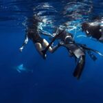 Oahu: Cageless Shark Dive Adventure - Detailed Breakdown of the Experience