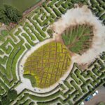 Oahu: Dole Plantation & Haleiwa Express Deluxe Tour - Why This Tour Offers Great Value