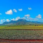 Oahu Grand Circle Island Experience Departing from Kauai - Who Is This Tour Best Suited For?