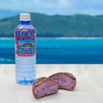 Oahu: Grand Circle Island Tour with Haleiwa - How the Experience Adds Up