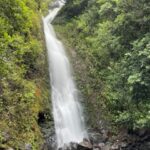 Oahu: Hidden Hawaii Waterfall Hike and Beach Tour - The Scenic Lookout at 1200 Feet