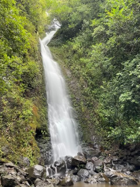 Oahu: Hidden Hawaii Waterfall Hike and Beach Tour - The Scenic Lookout at 1200 Feet