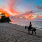 Oahu: Horseback Riding Tour on the North Shore - The Value of the Experience