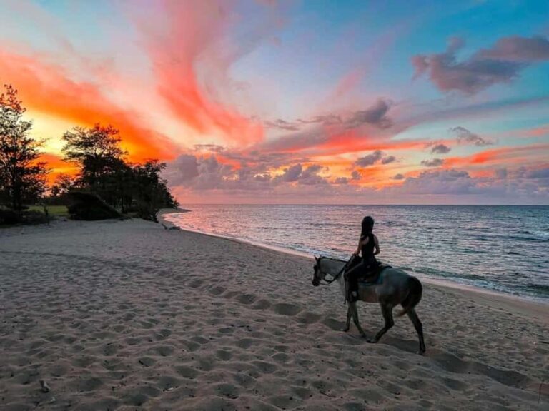 Oahu: Horseback Riding Tour on the North Shore - The Value of the Experience