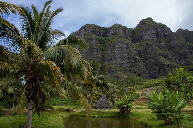 Oahu in a Day Private tour Figure 8 Adventure - Authentic Insights from Reviewers