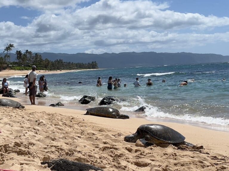 Oahu: Private Tour-Circle Island-Customizable - The Itinerary Breakdown: What You Can Expect