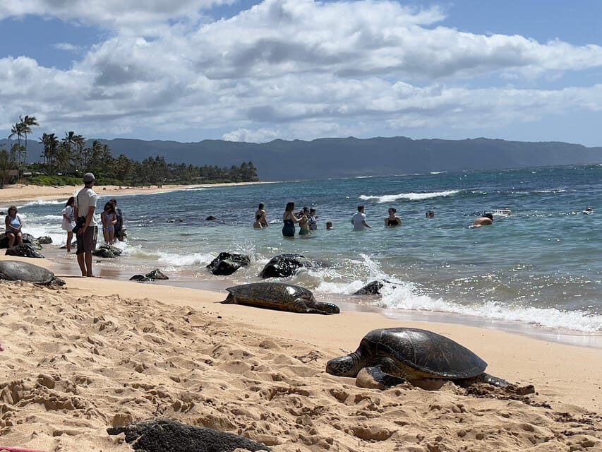 Oahu: Private Tour-Circle Island-Customizable - The Itinerary Breakdown: What You Can Expect