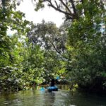 Oahu: Single & Double Kayak 3-Hour River Rental - What to Expect from Your Kayak Day