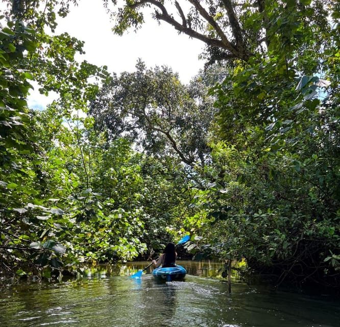 Oahu: Single & Double Kayak 3-Hour River Rental - What to Expect from Your Kayak Day