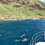 Oahu: Snorkel Adventure in Marine Sanctuary - An In-Depth Look at the Snorkel Adventure
