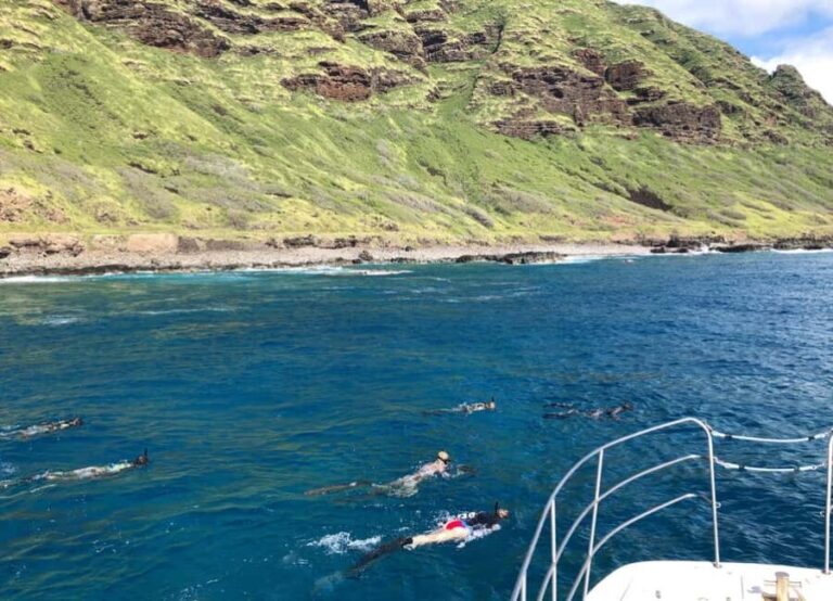 Oahu: Snorkel Adventure in Marine Sanctuary - An In-Depth Look at the Snorkel Adventure
