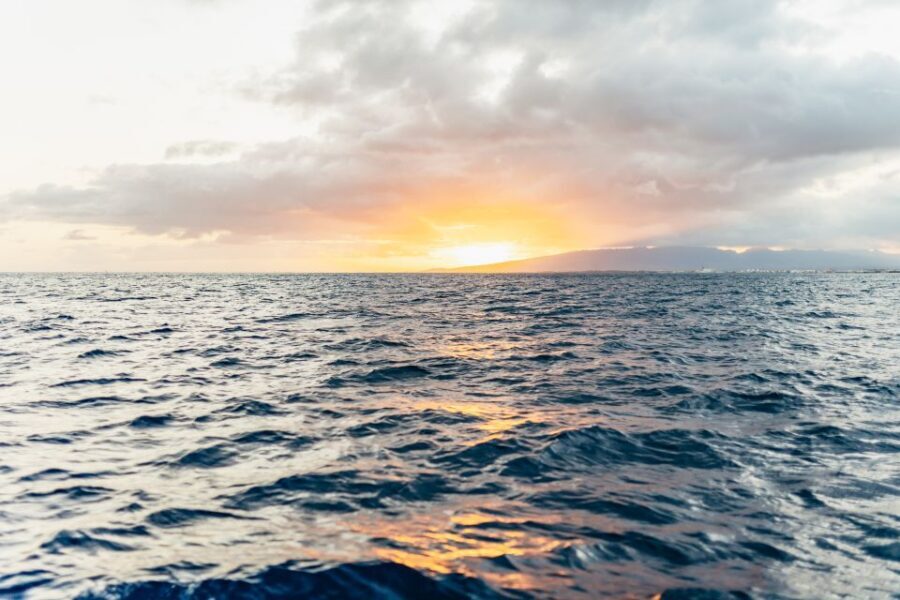 Oahu: Waikiki Sunset Catamaran Cocktail Cruise - The Value of a Sunset Catamaran Cruise