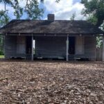 Oak Alley Plantation and NOLA Culture City Tour Combo - What You’ll Experience: From History to Culture