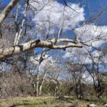 Oak Creek Canyon, with Native American history and Chapel too! - A Closer Look at the Itinerary