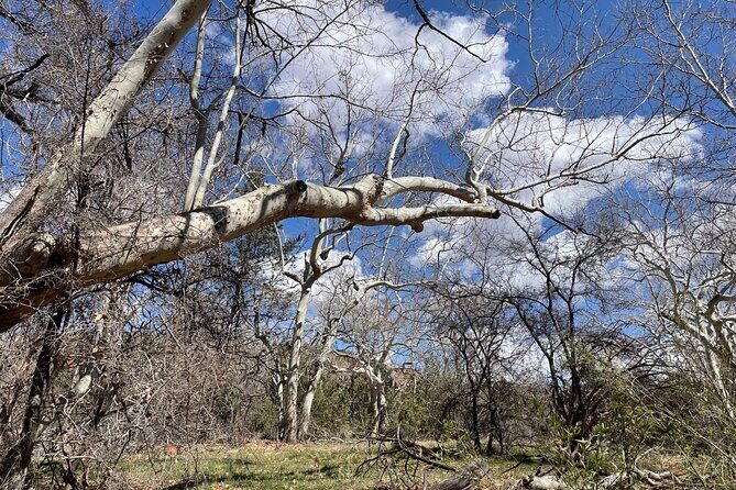 Oak Creek Canyon, with Native American history and Chapel too! - A Closer Look at the Itinerary