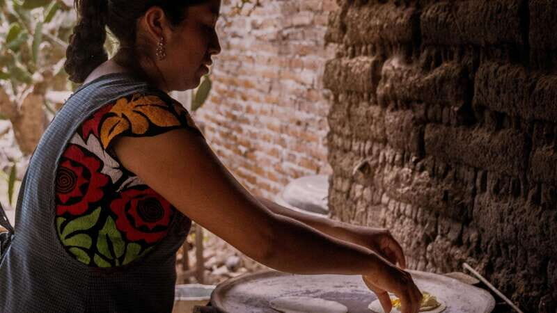 Oaxaca: Authentic Zapotec Cooking: From Market to Table - Analyzing the Value: Is It Worth the Price?
