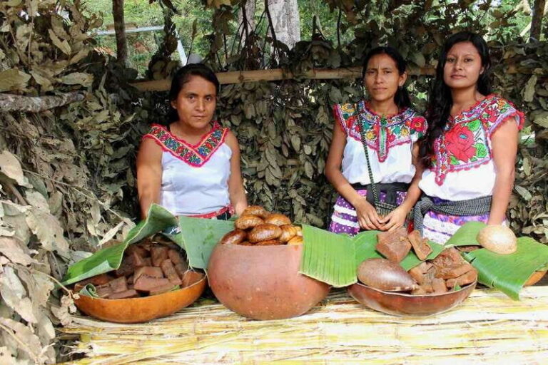 Oaxaca: Crafts & Cuisine Culture Tour - Frequently Asked Questions