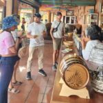 Oaxaca: El Tule, Mitla, and Hierve el Agua Tour with Mezcal - Hierve el Agua: The Geological Marvel