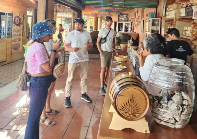 Oaxaca: El Tule, Mitla, and Hierve el Agua Tour with Mezcal - Hierve el Agua: The Geological Marvel