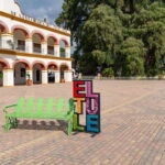 Oaxaca: El Tule tree, Teotitlan Village & Mezcal Tour - Who Is This Tour Perfect For?