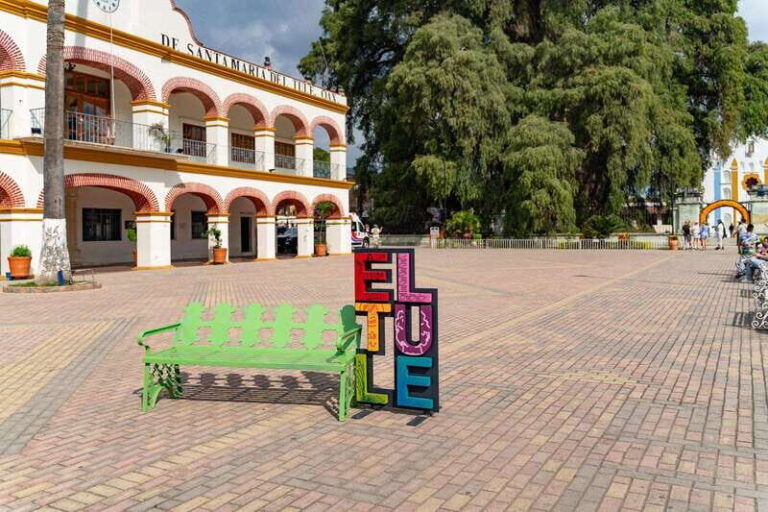 Oaxaca: El Tule tree, Teotitlan Village & Mezcal Tour - Who Is This Tour Perfect For?