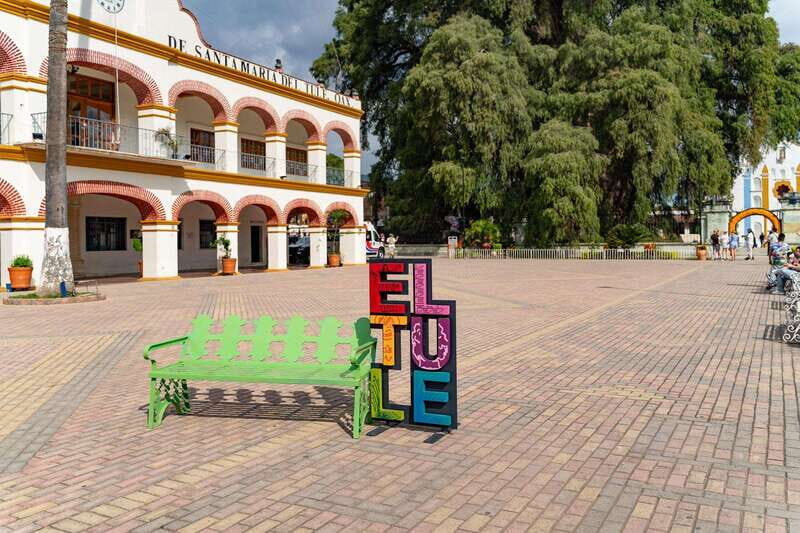 Oaxaca: El Tule tree, Teotitlan Village & Mezcal Tour - Who Is This Tour Perfect For?