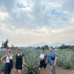 Oaxaca: Hierve el Agua & Mezcal Distillery Small-Group Tour - What the Reviews Say
