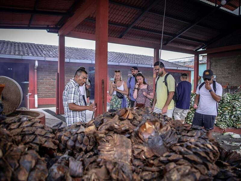 Oaxaca: Mezcal Distillery Tour with Tastings - Who Is This Tour Best For?