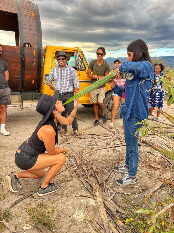 Oaxaca: Monte Albán, Hierve el agua, Mezcal and Teotitlán - The Practical Details: What You Need to Know