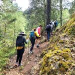 Oaxaca: Sierra Norte Ixtepeji Guided Hike & Lunch, Half-Day - A Closer Look at the Experience