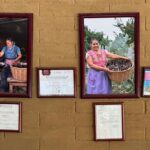 Oaxaca Traditional Cooking Class with UNESCO Chef - A Deep Dive into the Experience