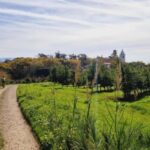 Óbidos: E-Bike Tour to Quinta do Gradil with Wine Tasting - FAQ