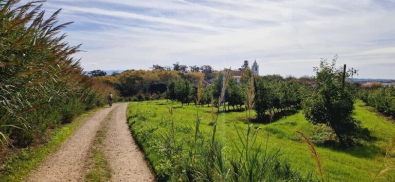 Óbidos: E-Bike Tour to Quinta do Gradil with Wine Tasting - FAQ