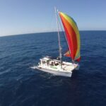 Ocean City: Sailing Catamaran Cruise with Crew - Why You Should Consider This Cruise